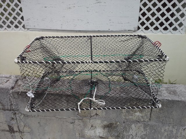 Folding fish traps – wholesale price only $25 each.
