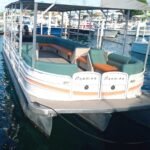 Premier 31 ft Tritoon