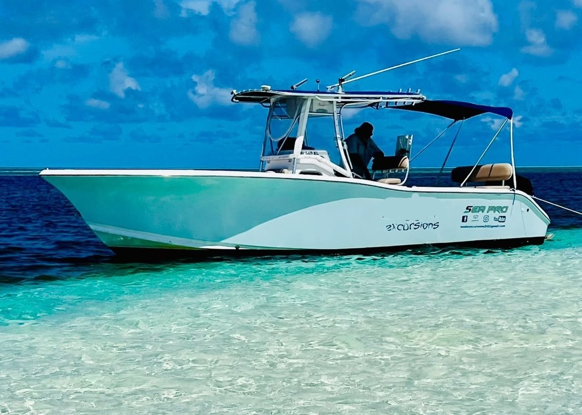 2007 27ft Seapro
