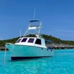 1989 31ft Laing Sportfish