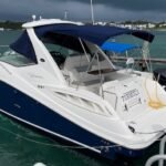 32FT Sea Ray 310 Sundancer